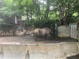 恩賜上野動物園に投稿された画像（2025/5/26）