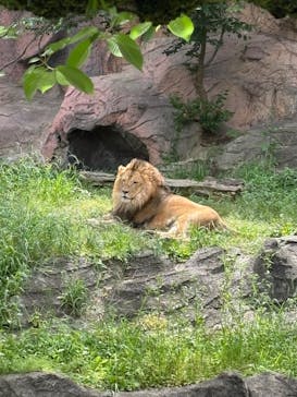 名古屋市東山動植物園に投稿された画像（2025/5/26）