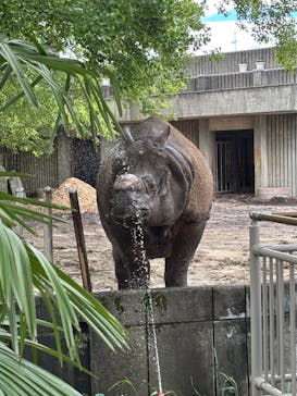 名古屋市東山動植物園に投稿された画像（2025/5/26）