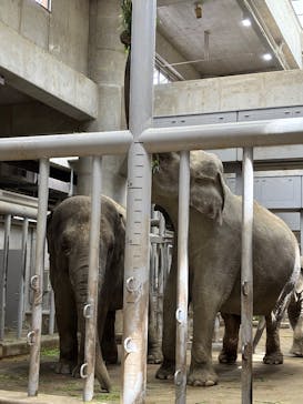名古屋市東山動植物園に投稿された画像（2025/5/26）