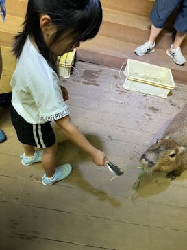 カワスイ 川崎⽔族館に投稿された画像（2025/5/26）