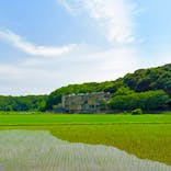 成田の命泉　大和の湯に投稿された画像（2025/5/26）