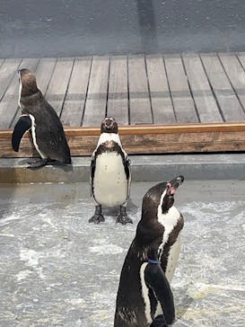 南知多ビーチランド＆南知多おもちゃ王国に投稿された画像（2025/5/26）