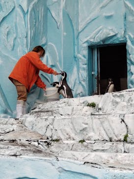 別府ケーブルラクテンチに投稿された画像（2025/5/26）