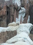 恩賜上野動物園に投稿された画像（2025/5/26）