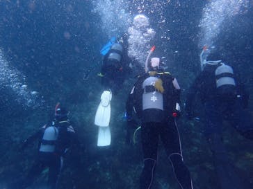 伊豆高原ダイビングスクール　リトルリッツに投稿された画像（2025/5/26）