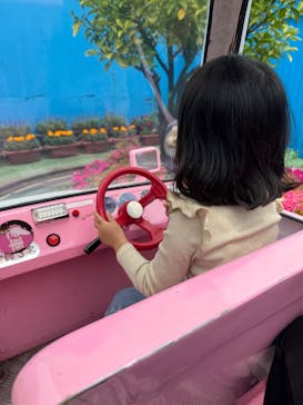 浅草花やしきに投稿された画像（2025/5/26）