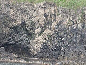 東尋坊観光遊覧船株式会社に投稿された画像（2025/5/26）