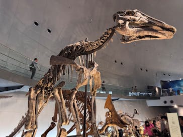福井県立恐竜博物館に投稿された画像（2025/5/26）