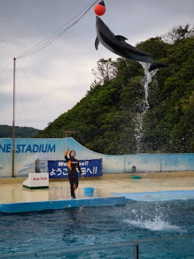 下田海中水族館に投稿された画像（2025/5/26）