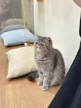 Cat Café MOFF イーアス沖縄豊崎店に投稿された画像（2025/5/26）