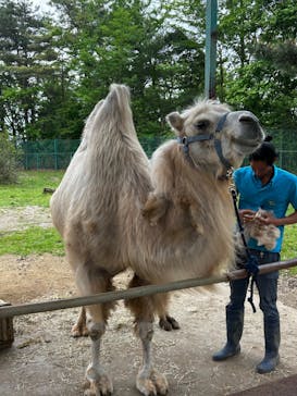 東北サファリパークに投稿された画像（2025/5/26）