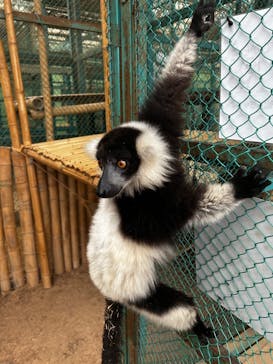 東北サファリパークに投稿された画像（2025/5/26）