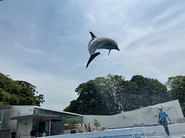 九十九島パールシーリゾートに投稿された画像（2025/5/26）