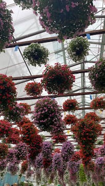 掛川花鳥園に投稿された画像（2025/5/26）