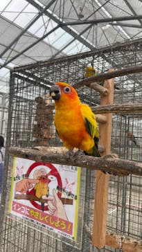 掛川花鳥園に投稿された画像（2025/5/26）