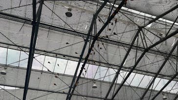 掛川花鳥園に投稿された画像（2025/5/26）