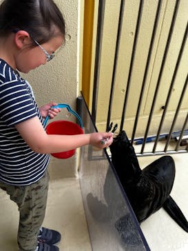 新江ノ島水族館に投稿された画像（2025/5/26）