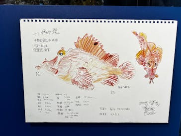 新江ノ島水族館に投稿された画像（2025/5/26）