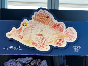 新江ノ島水族館に投稿された画像（2025/5/26）