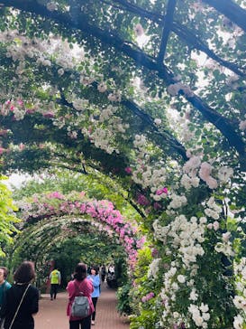 横浜イングリッシュガーデンに投稿された画像（2025/5/26）