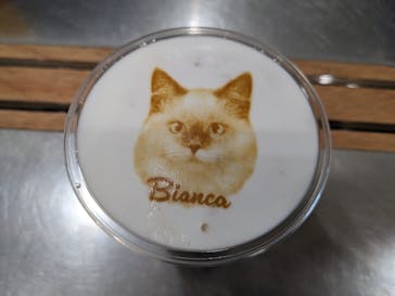 Cat Café MOFF イオンモールナゴヤドーム前店に投稿された画像（2025/5/26）