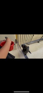 新江ノ島水族館に投稿された画像（2025/5/26）