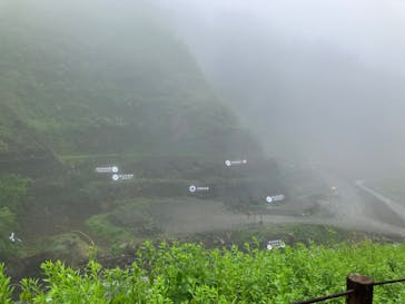 福井県立恐竜博物館に投稿された画像（2025/5/26）