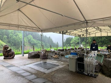 福井県立恐竜博物館に投稿された画像（2025/5/26）