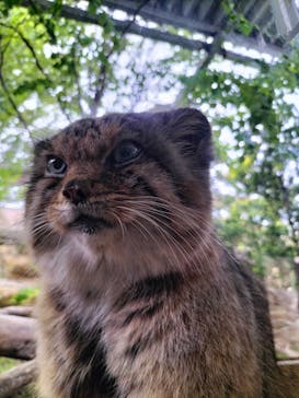 那須どうぶつ王国に投稿された画像（2025/5/26）