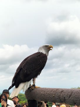 那須どうぶつ王国に投稿された画像（2025/5/26）