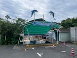 下田海中水族館に投稿された画像（2025/5/26）