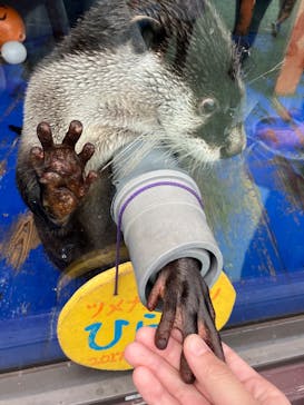 ゼロ距離水族館 伊勢シーパラダイスに投稿された画像（2025/5/26）