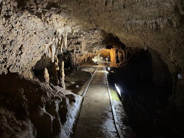 石垣島鍾乳洞に投稿された画像（2025/5/26）