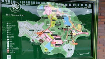 ぎふワールド・ローズガーデンに投稿された画像（2025/5/26）