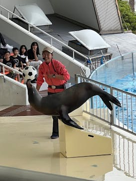 マリンワールド海の中道に投稿された画像（2025/5/26）