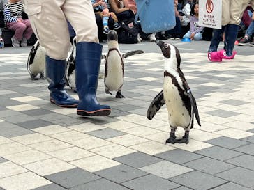 マリンワールド海の中道に投稿された画像（2025/5/26）