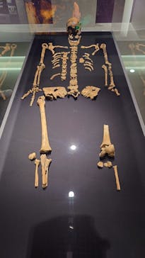 特別展「古代DNA－日本人のきた道」（国立科学博物館）に投稿された画像（2025/5/26）