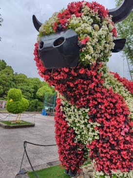 安城産業文化公園デンパークに投稿された画像（2025/5/26）