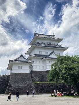 小田原城に投稿された画像（2025/5/26）