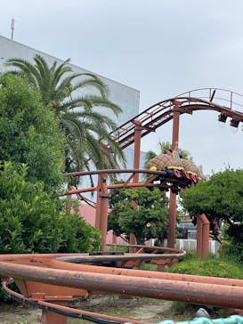 ポルトヨーロッパに投稿された画像（2025/5/26）