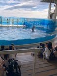 新江ノ島水族館に投稿された画像（2025/5/27）