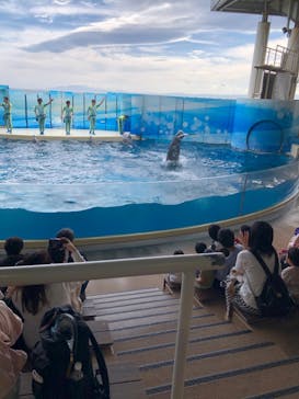 新江ノ島水族館に投稿された画像（2025/5/26）