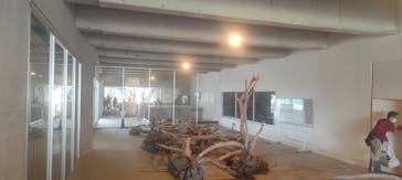 霞ケ浦 どうぶつとみんなのいえに投稿された画像（2025/5/26）