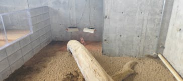 霞ケ浦 どうぶつとみんなのいえに投稿された画像（2025/5/26）