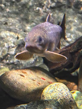 伊豆・三津シーパラダイスに投稿された画像（2025/5/26）