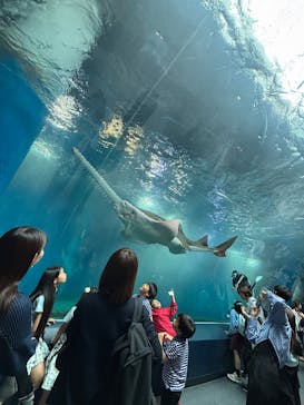 マクセル アクアパーク品川に投稿された画像（2025/5/26）