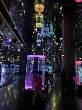 マクセル アクアパーク品川に投稿された画像（2025/5/26）