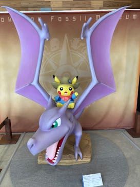 福井県立恐竜博物館に投稿された画像（2025/5/26）