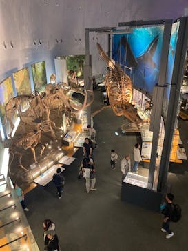 福井県立恐竜博物館に投稿された画像（2025/5/26）
